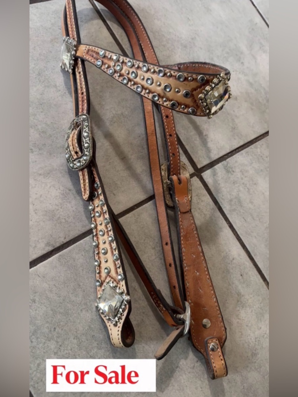Brand new show bridle